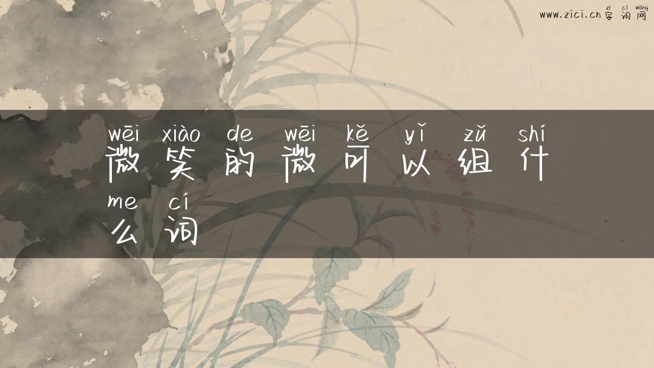 微笑的微可以组什么词