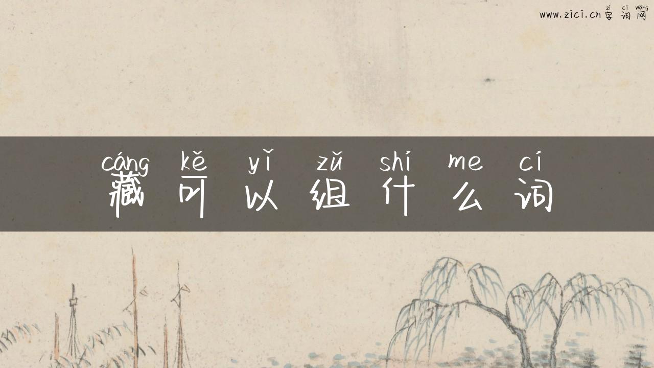 藏可以组什么词