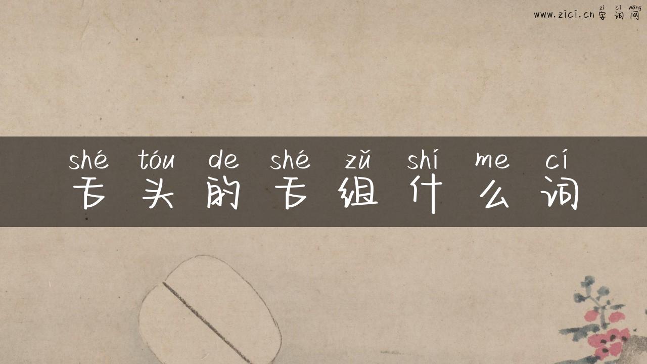 舌头的舌组什么词