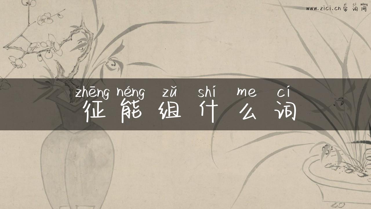 征能组什么词