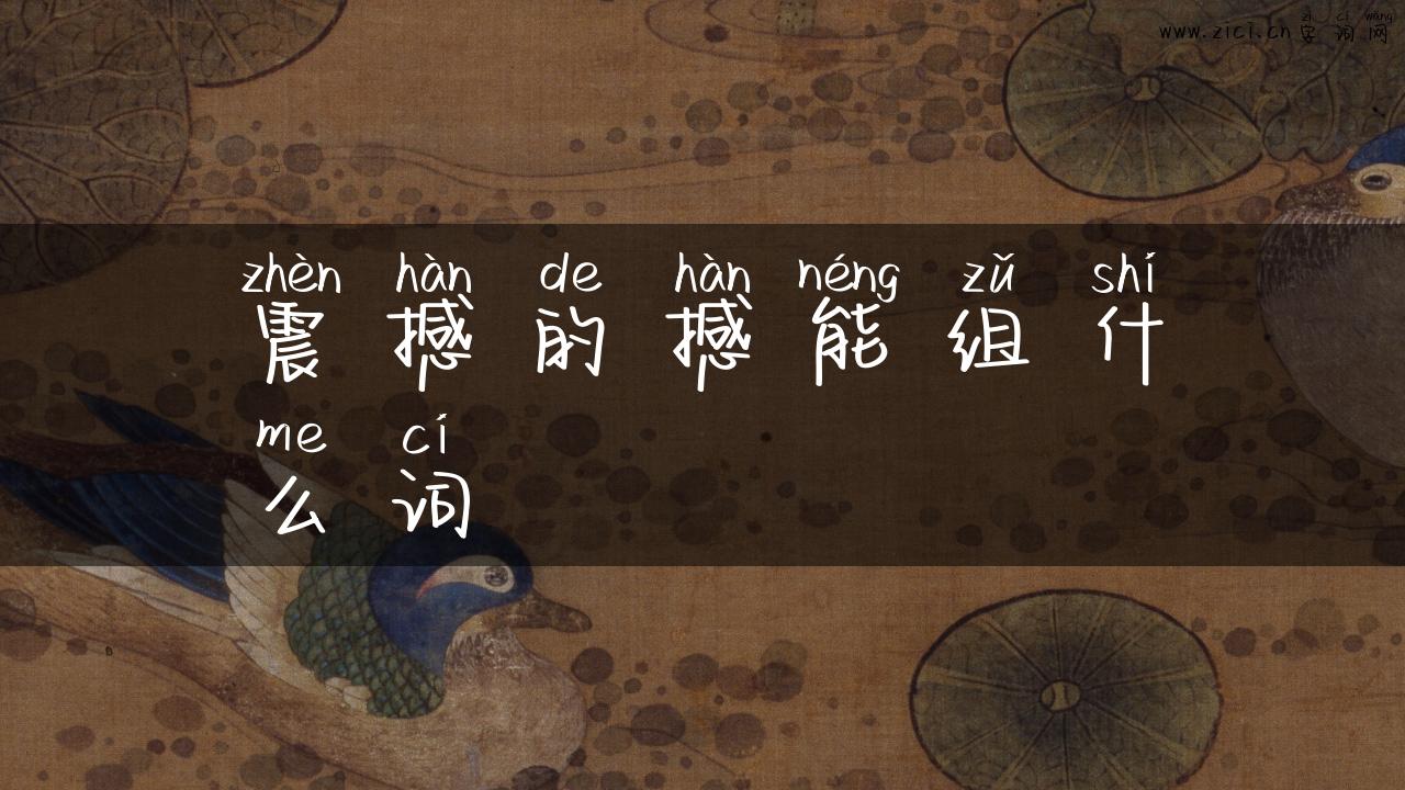 震撼的撼能组什么词
