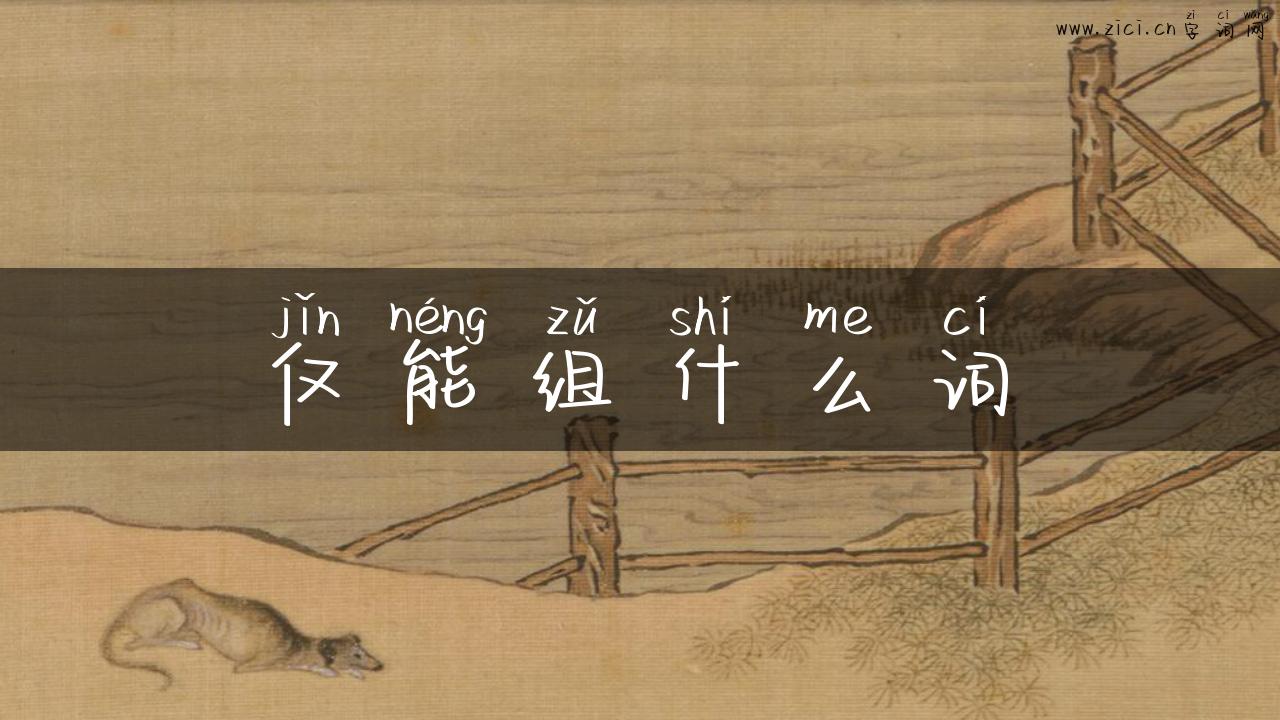仅能组什么词