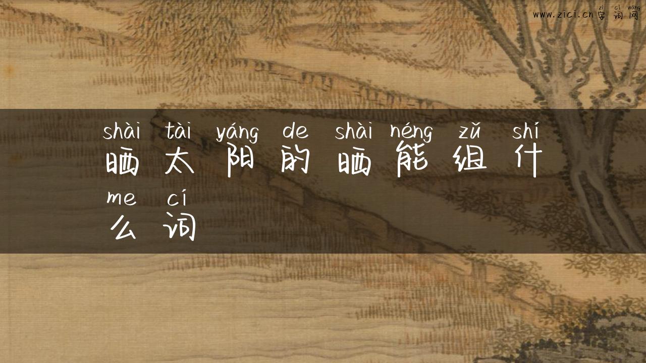 晒太阳的晒能组什么词