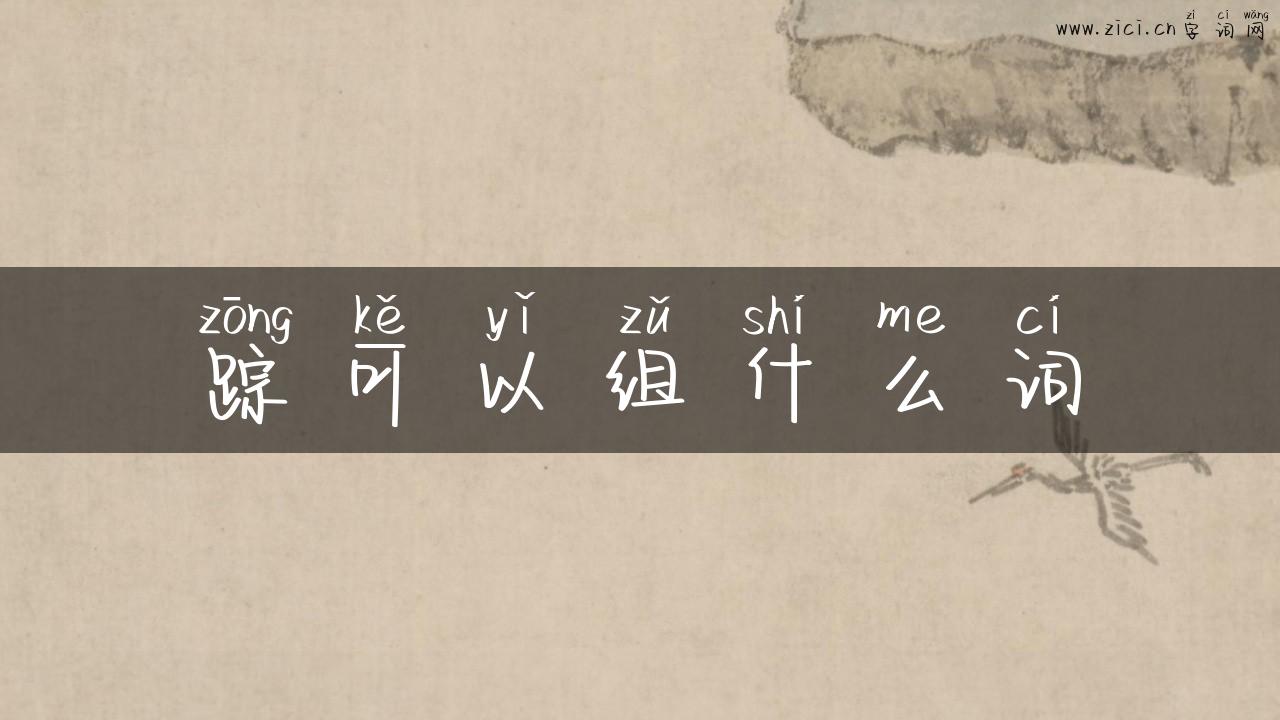 踪可以组什么词