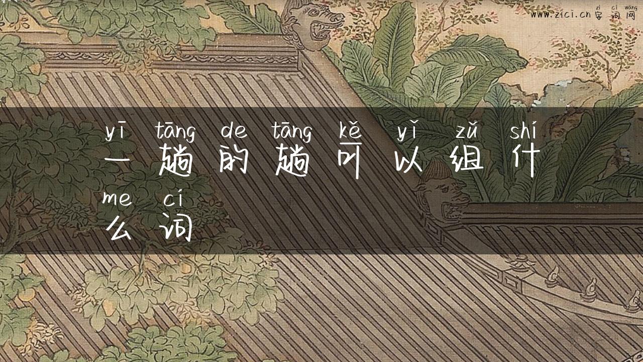 一趟的趟可以组什么词