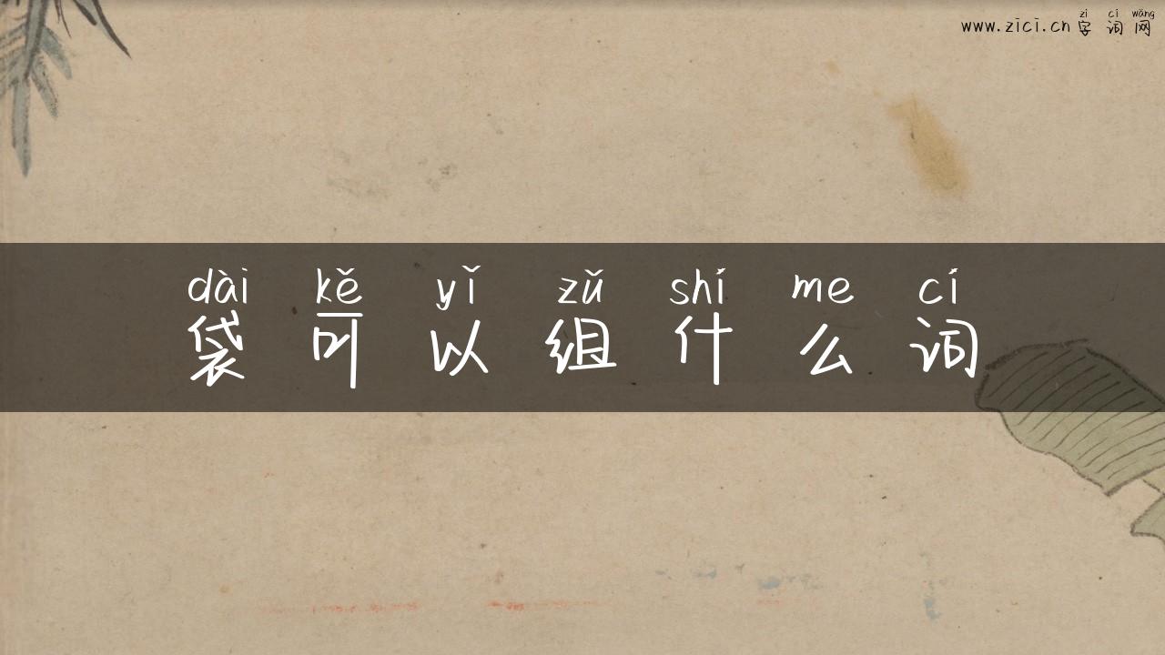 袋可以组什么词