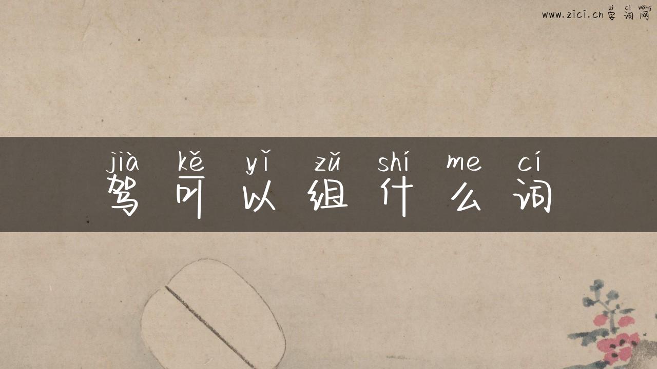 驾可以组什么词