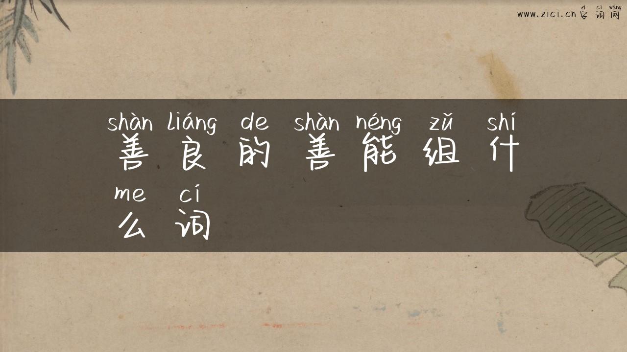 善良的善能组什么词