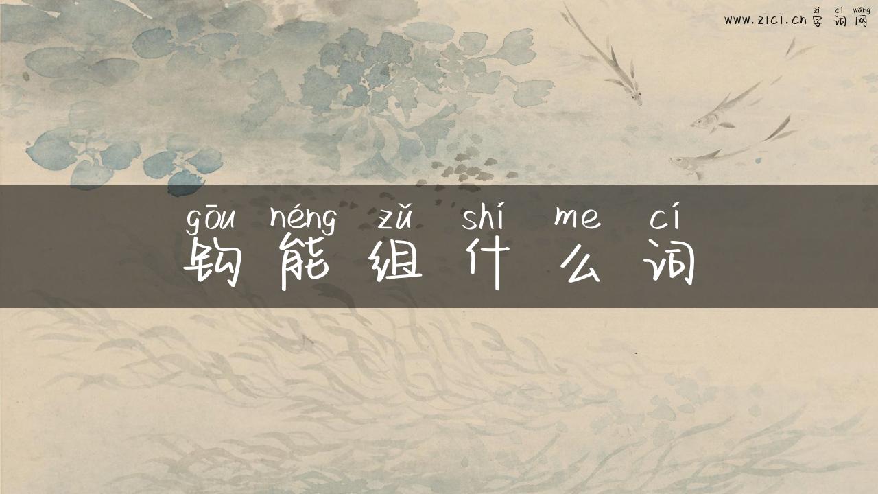 钩能组什么词