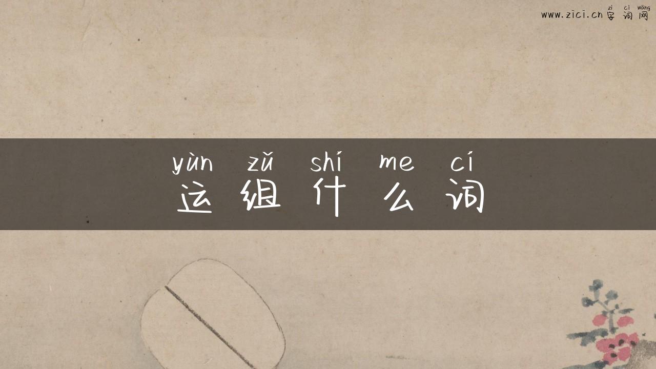 运组什么词