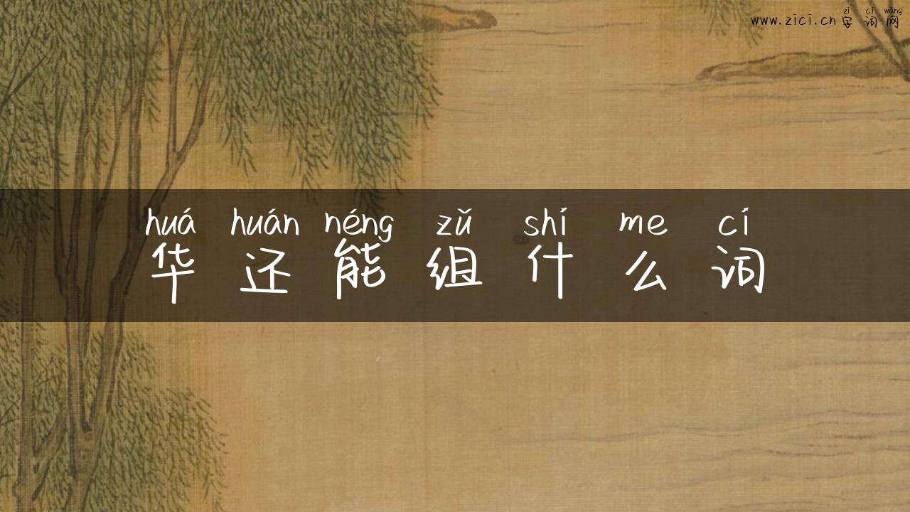 华还能组什么词