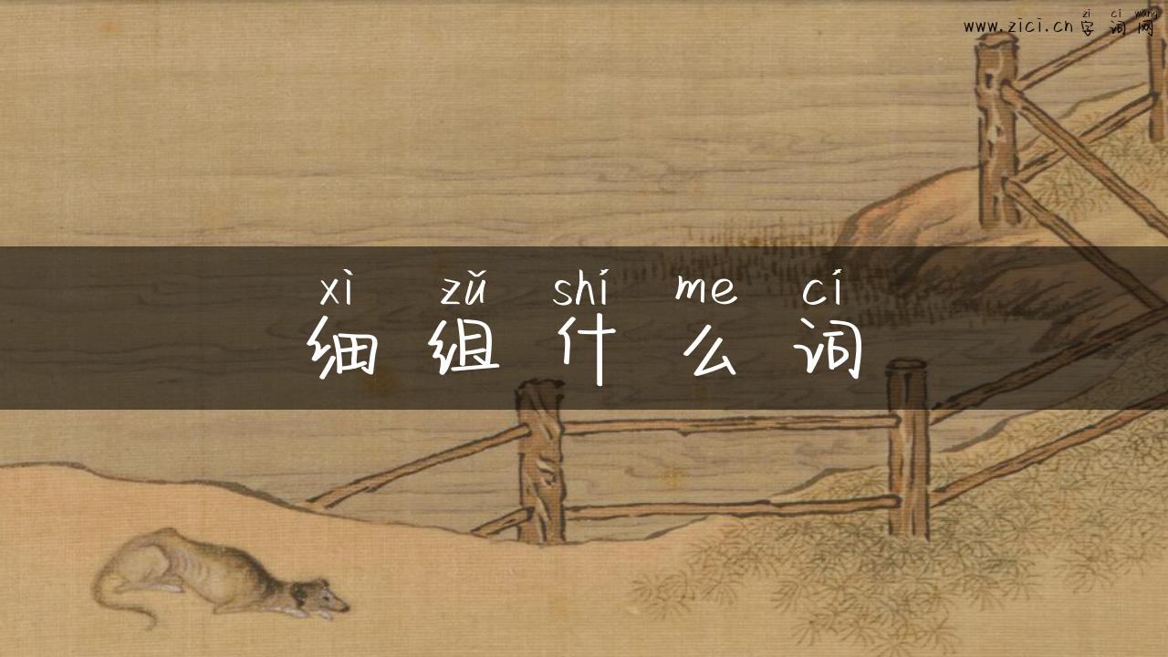 细组什么词