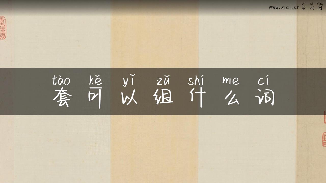 套可以组什么词