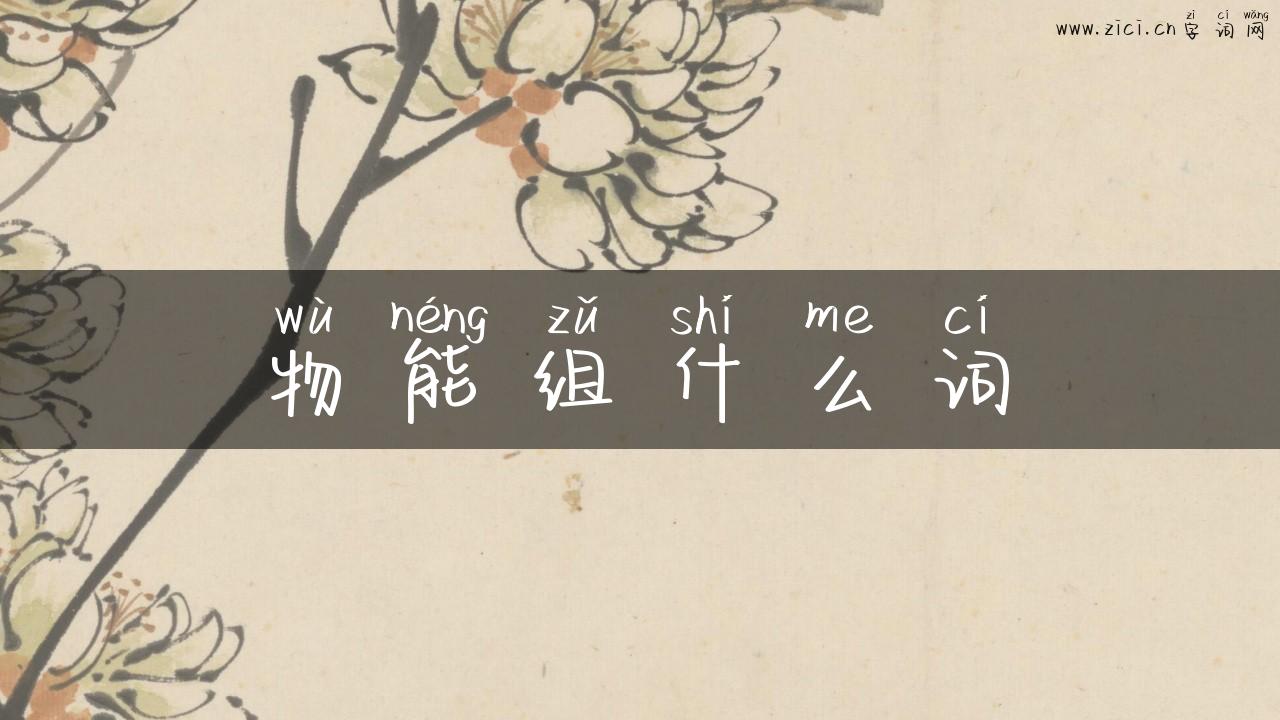 物能组什么词