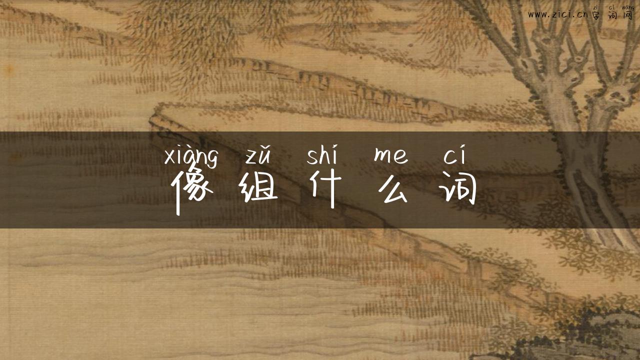 像组什么词