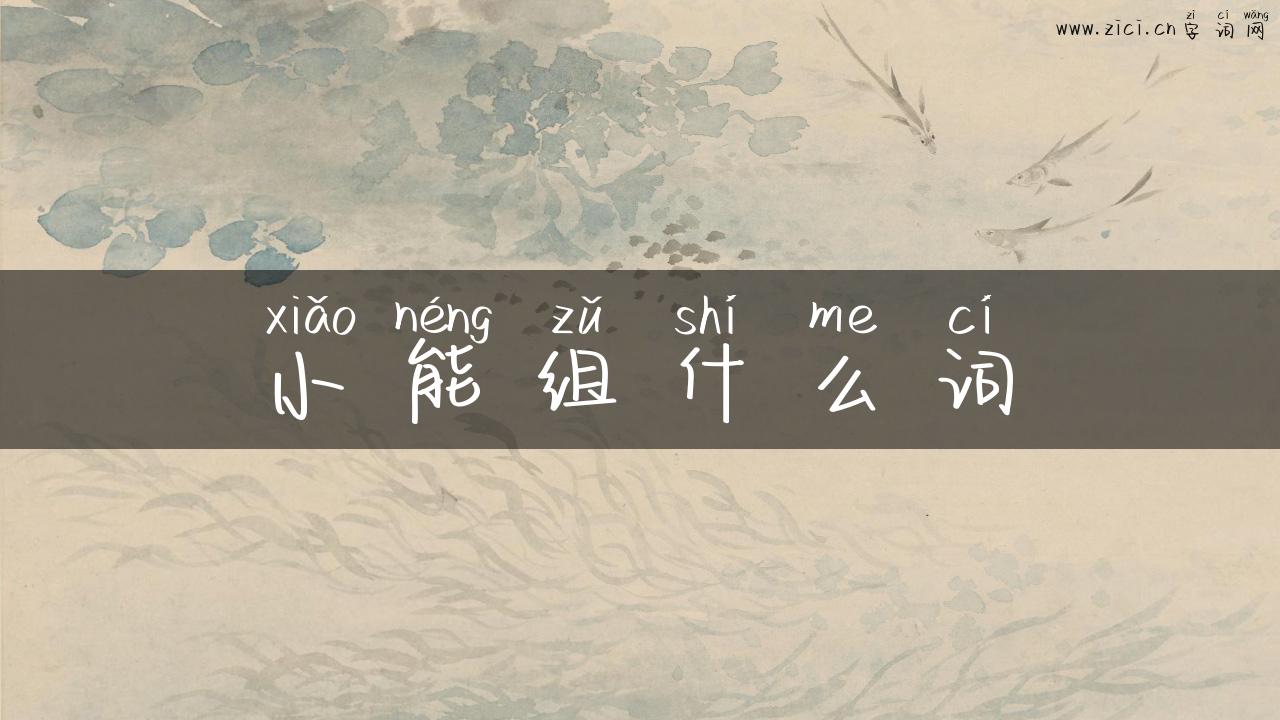 小能组什么词