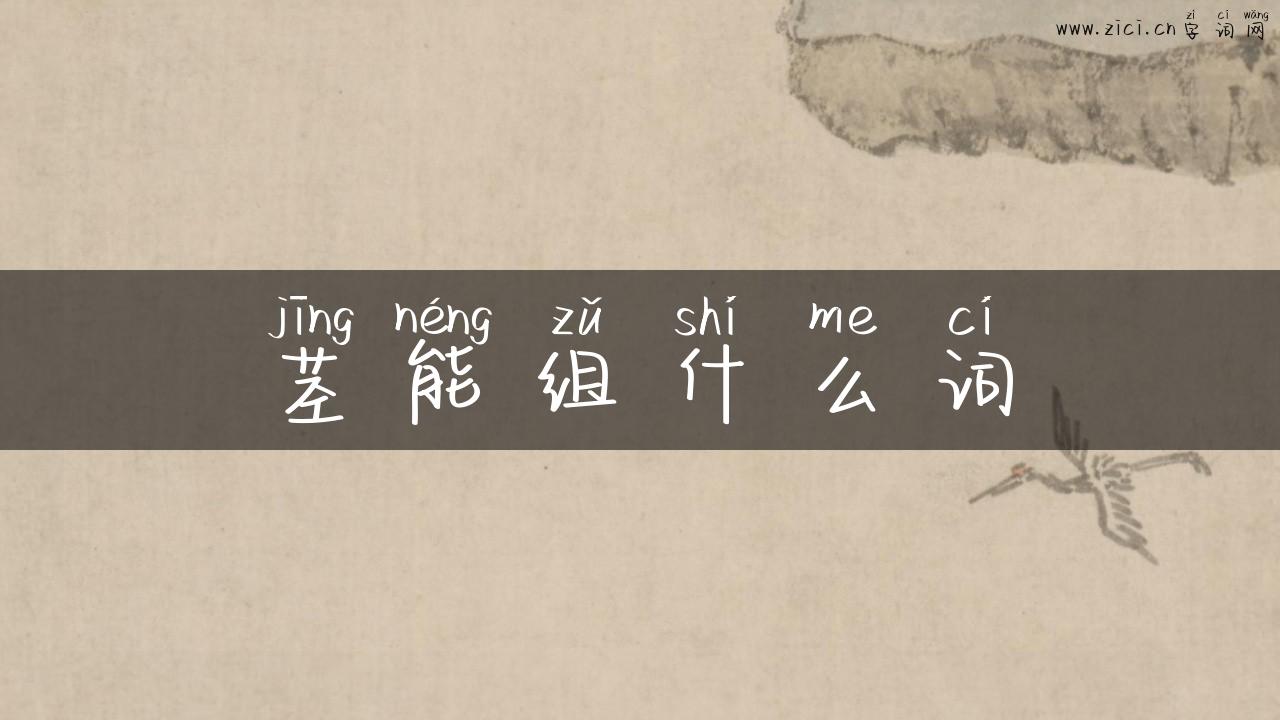 茎能组什么词