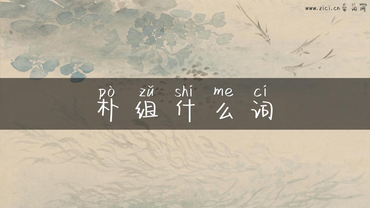 朴组什么词