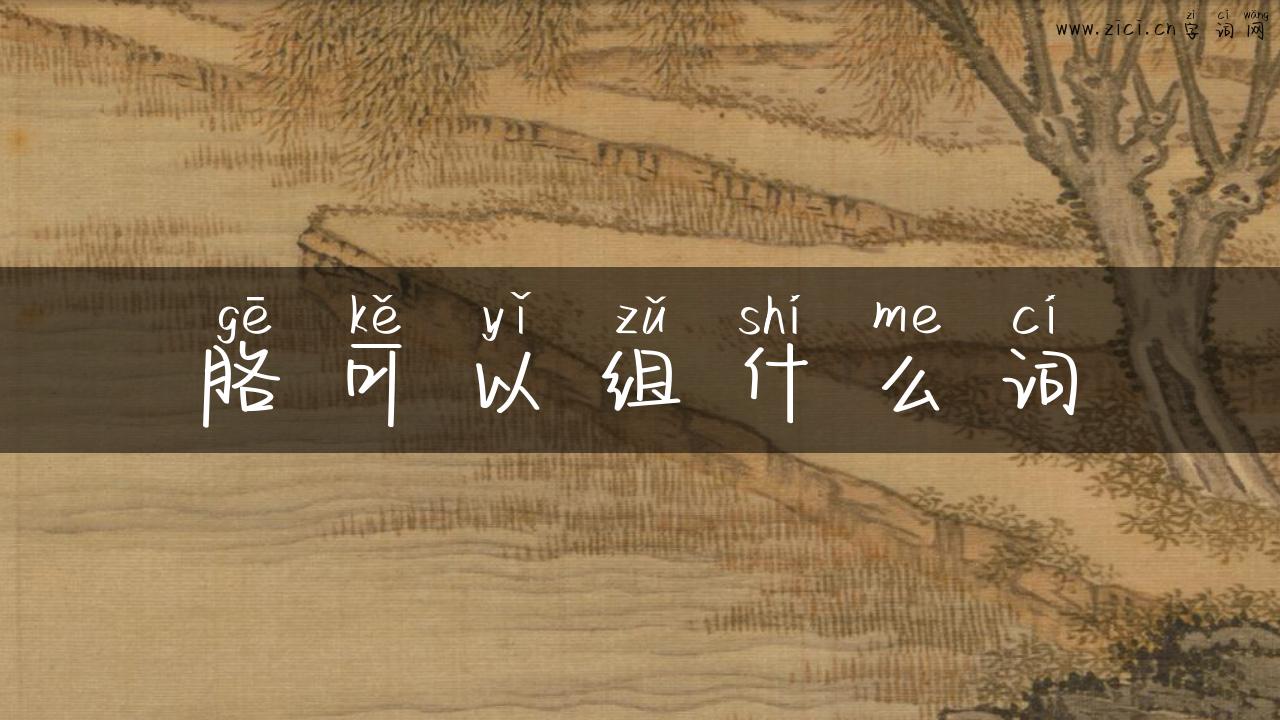 胳可以组什么词