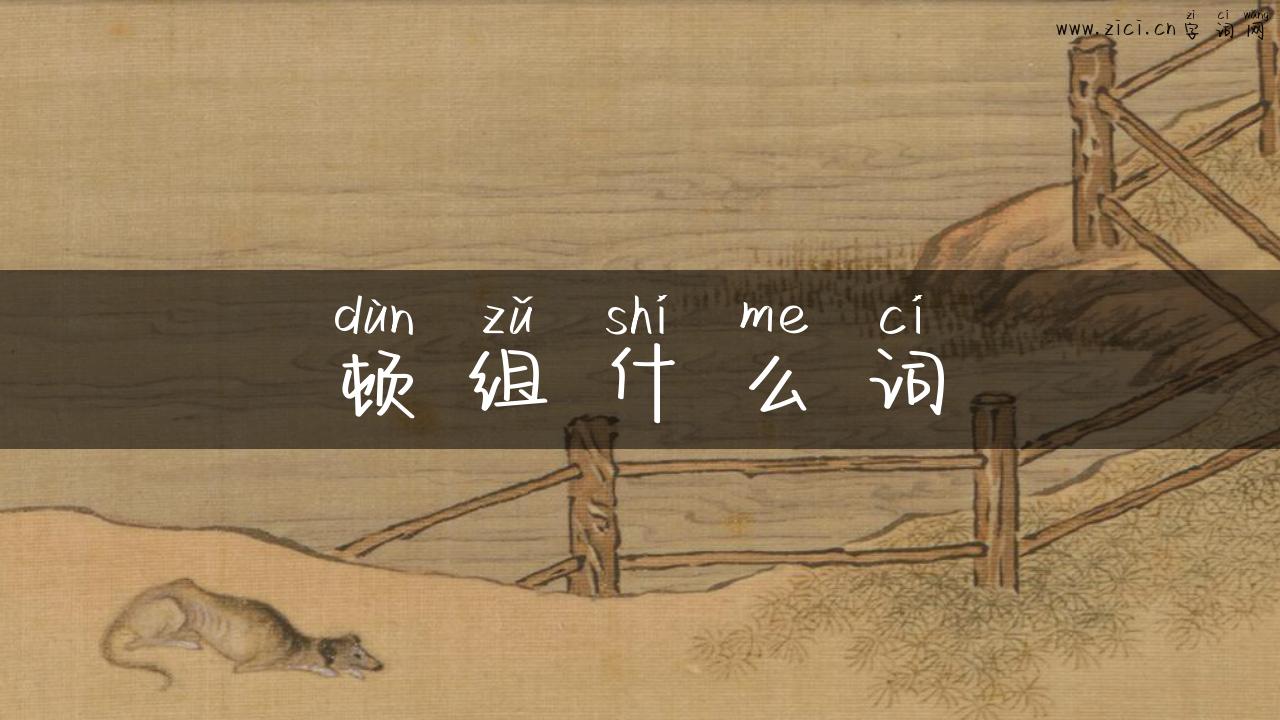 顿组什么词