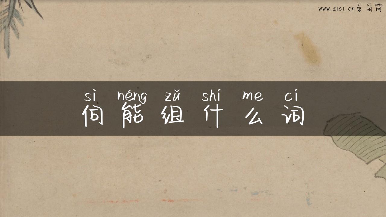 伺能组什么词