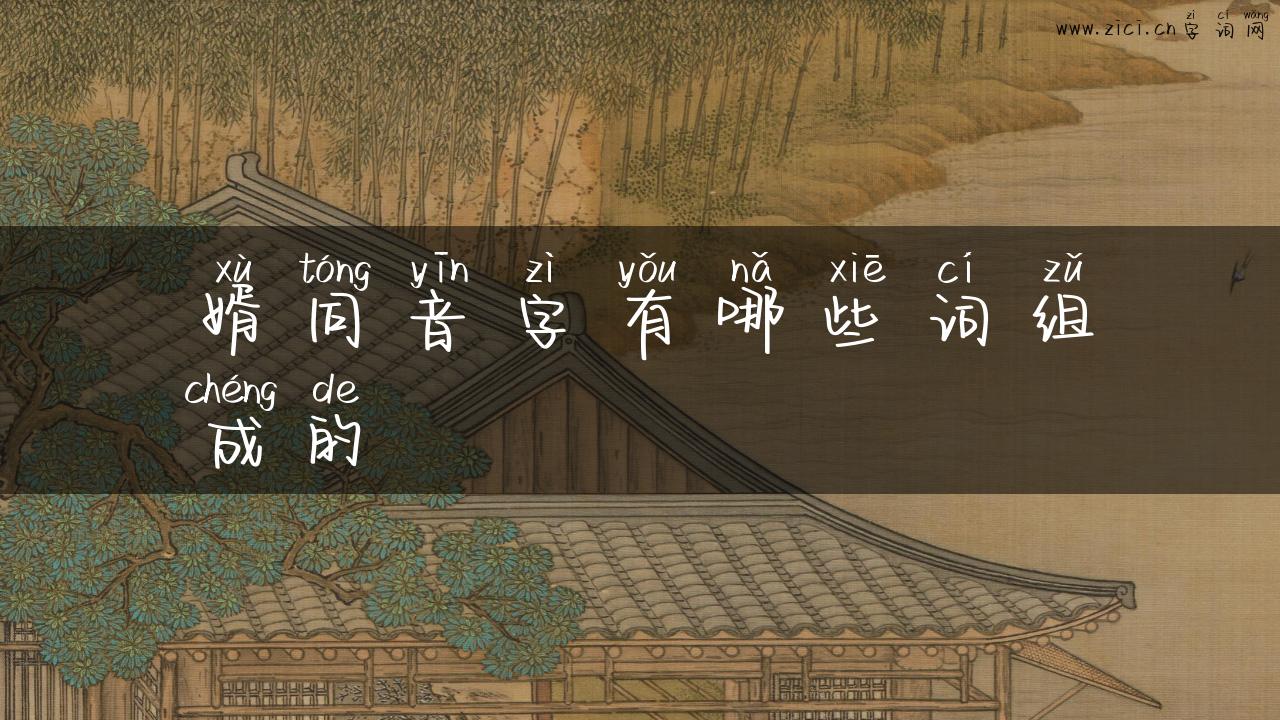 婿同音字有哪些词组成的