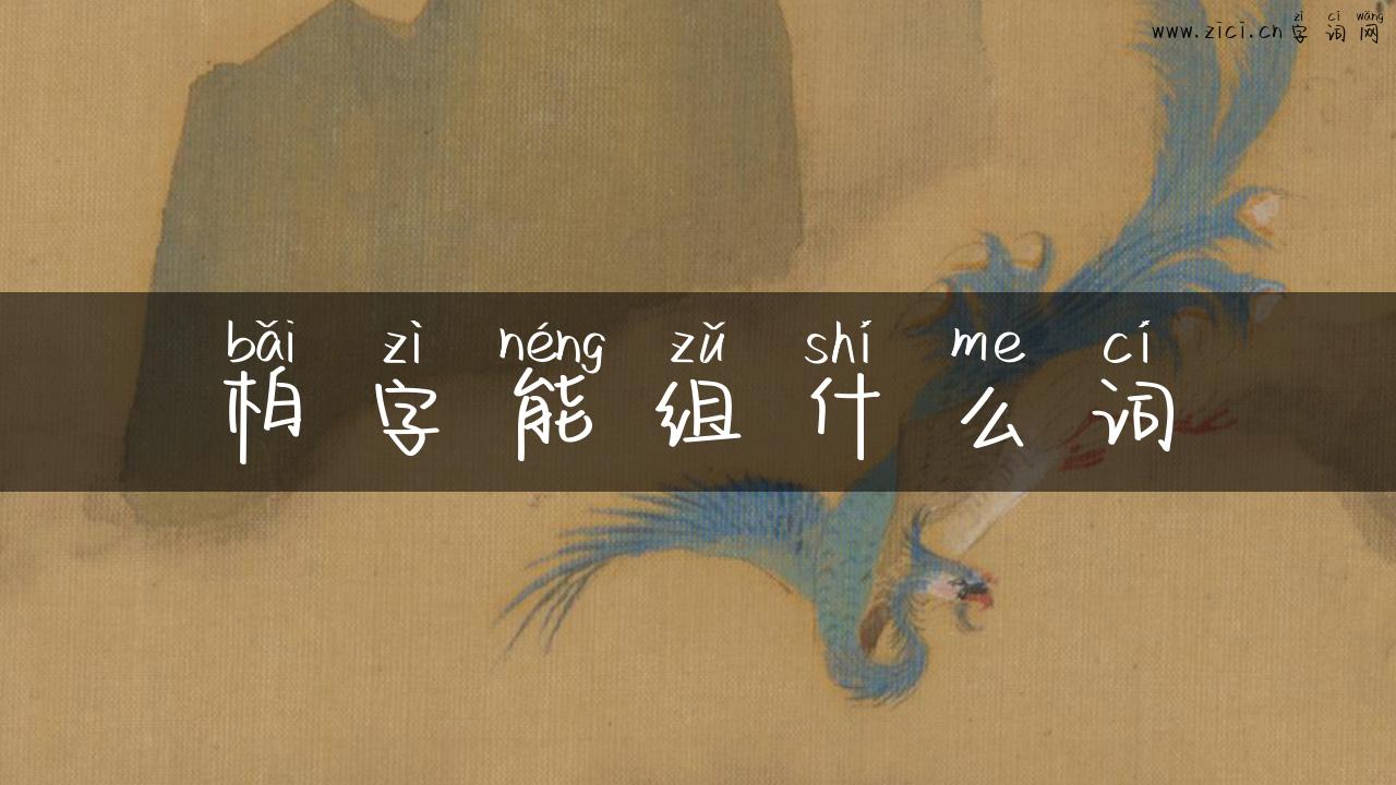 柏字能组什么词