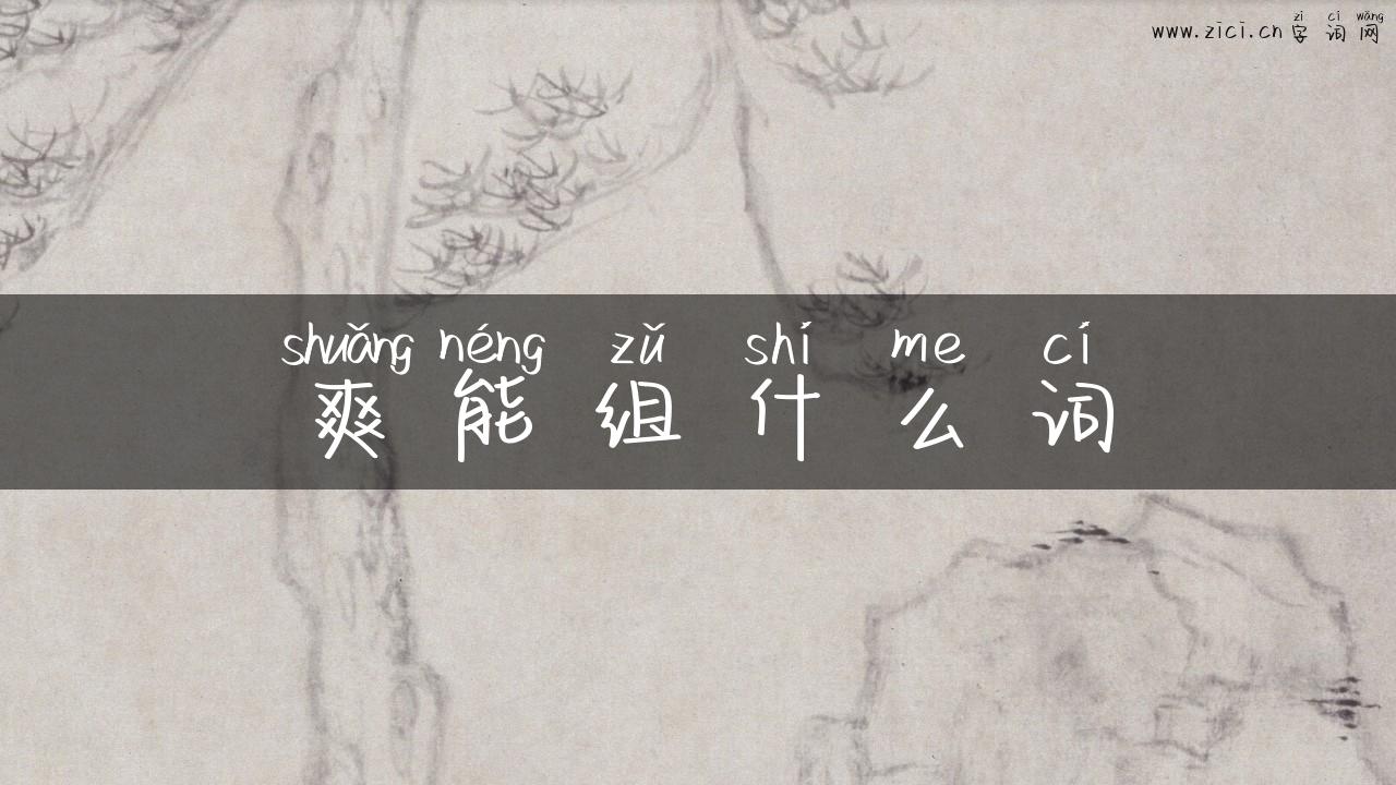 爽能组什么词