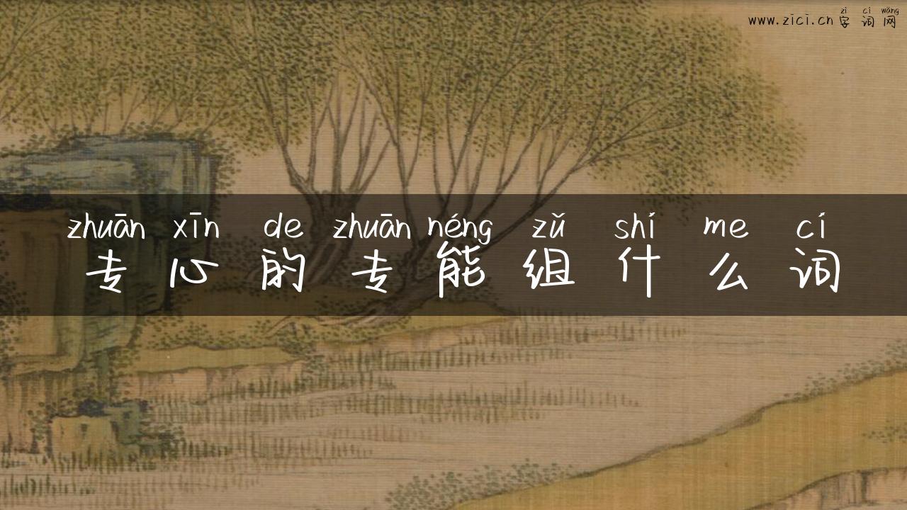 专心的专能组什么词