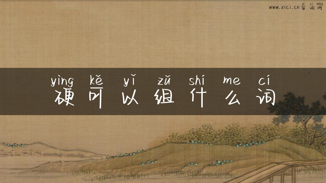 硬可以组什么词