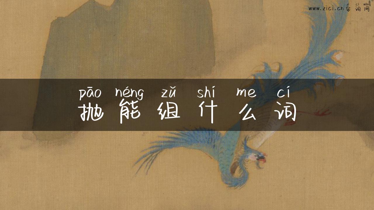 抛能组什么词
