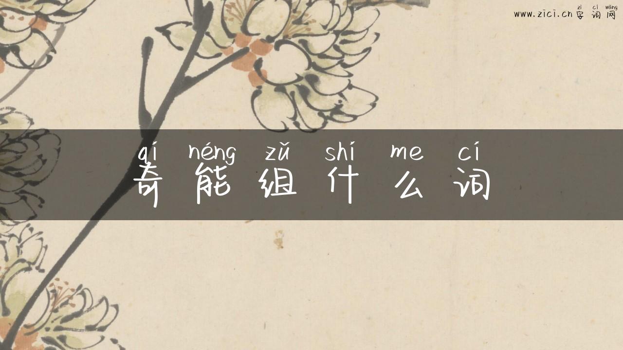 奇能组什么词