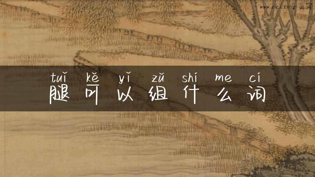 腿可以组什么词