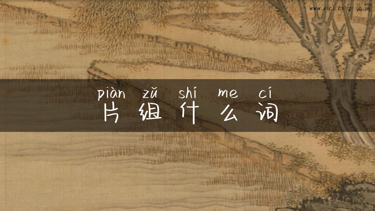 片组什么词