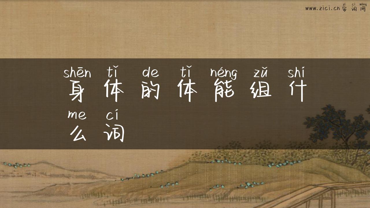 身体的体能组什么词