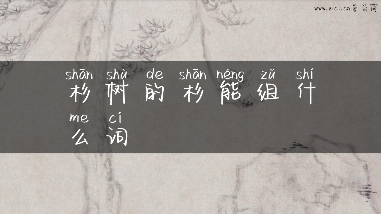 杉树的杉能组什么词