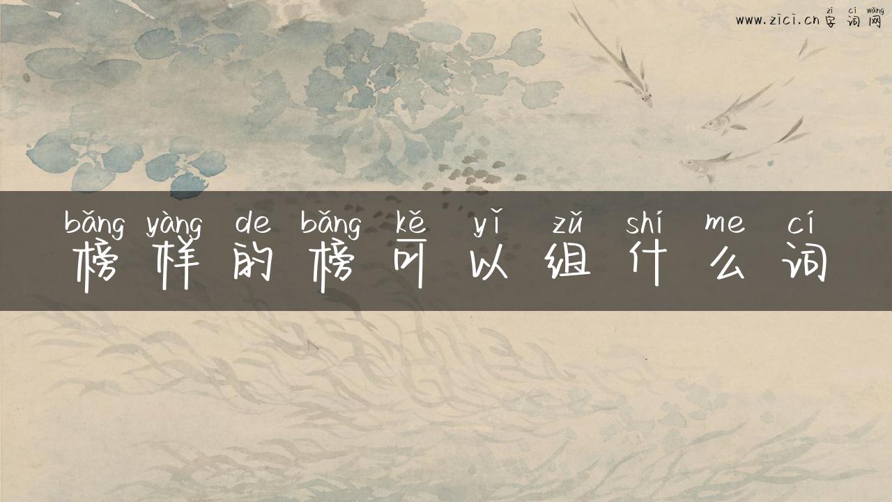 榜样的榜可以组什么词
