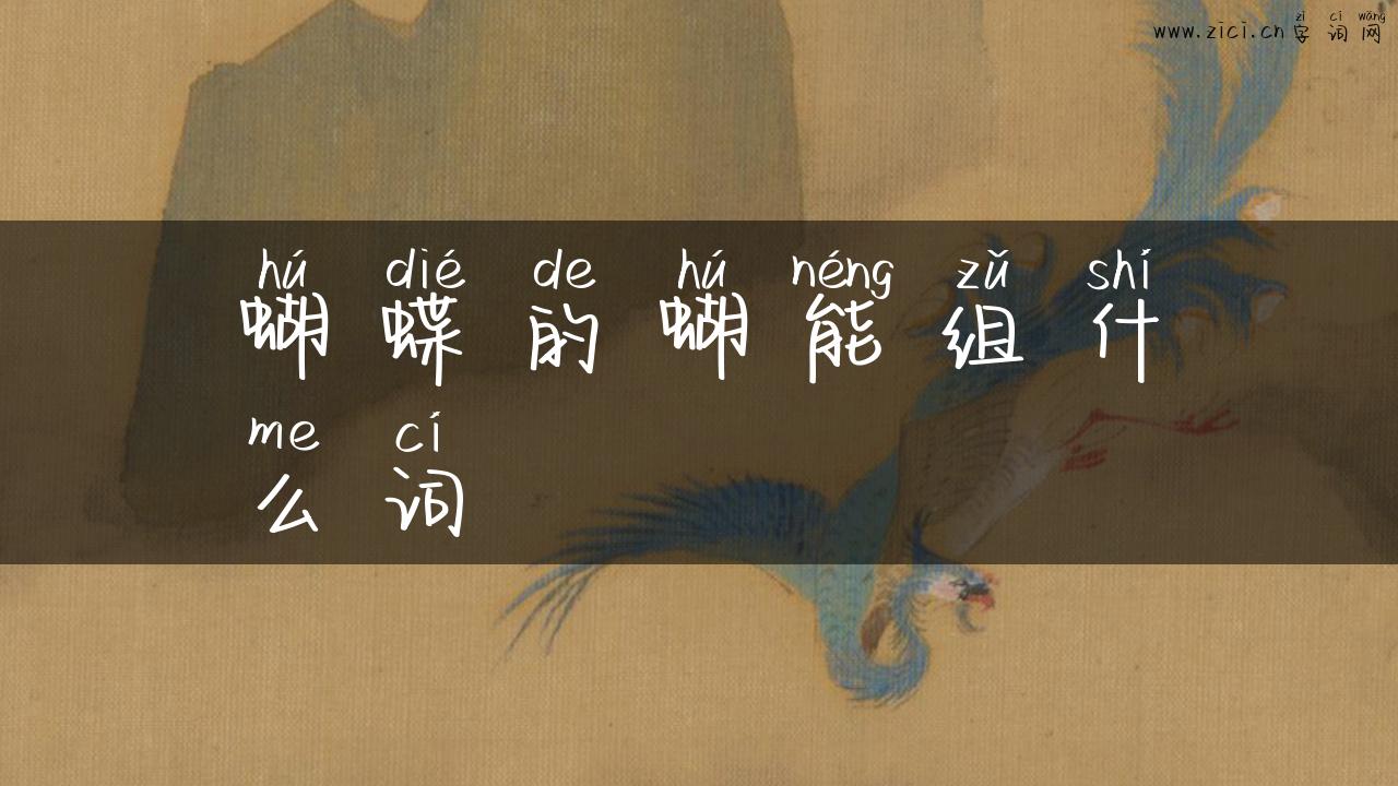 蝴蝶的蝴能组什么词