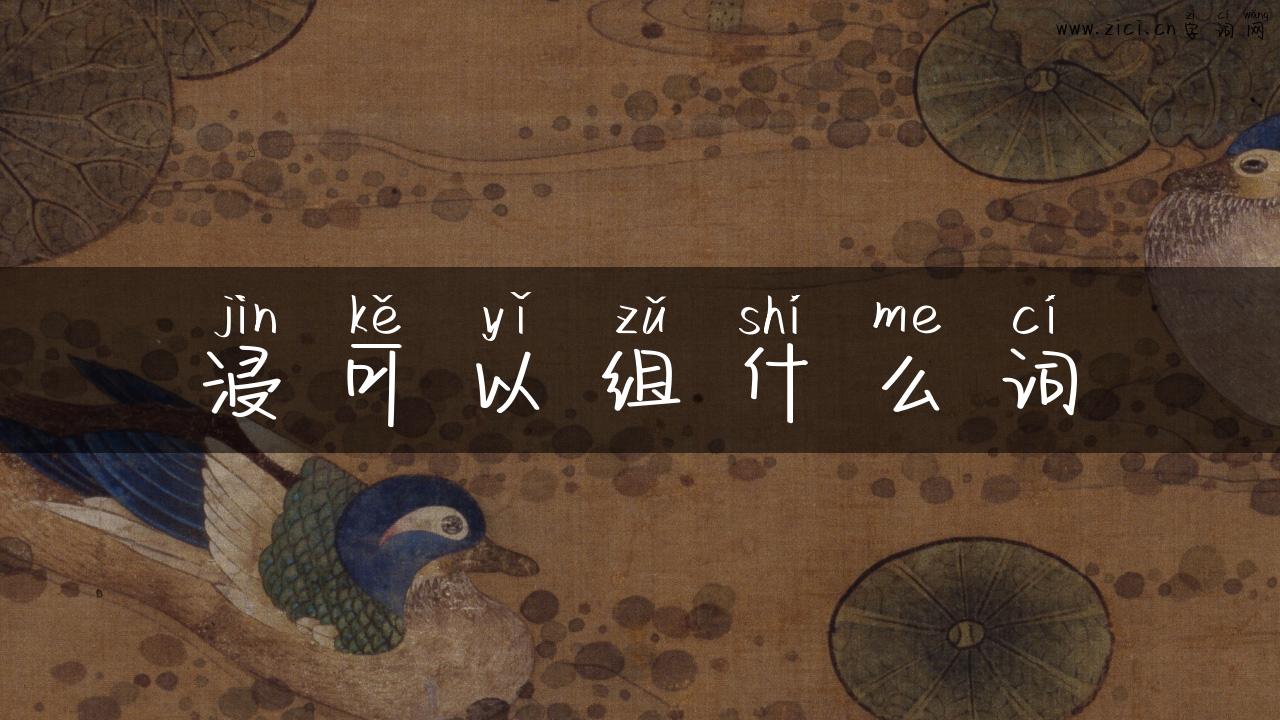 浸可以组什么词
