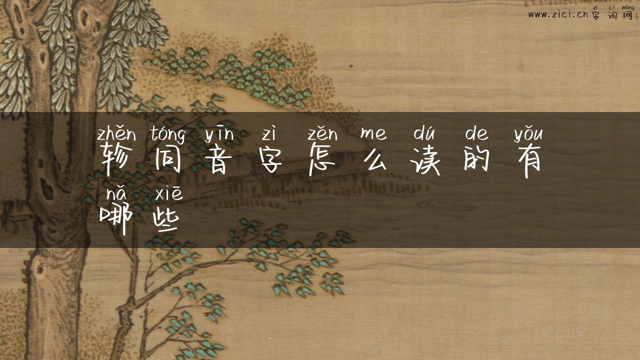 轸同音字怎么读的有哪些