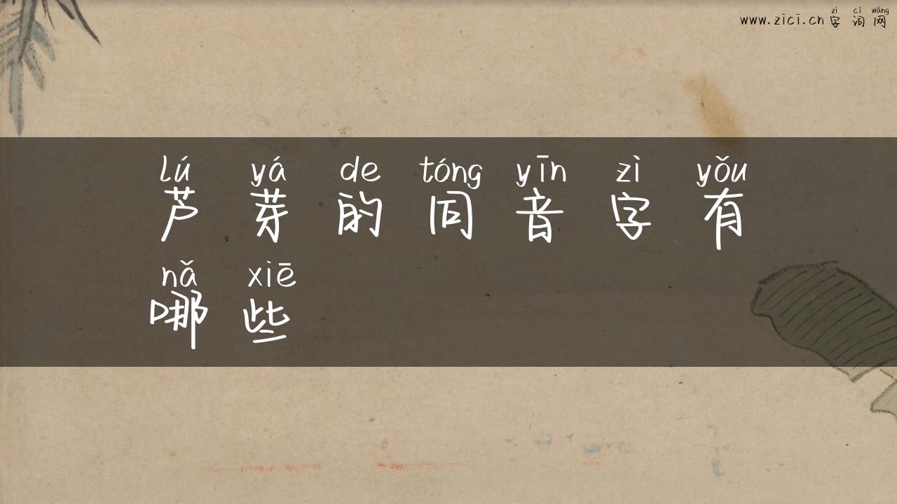 芦芽的同音字有哪些