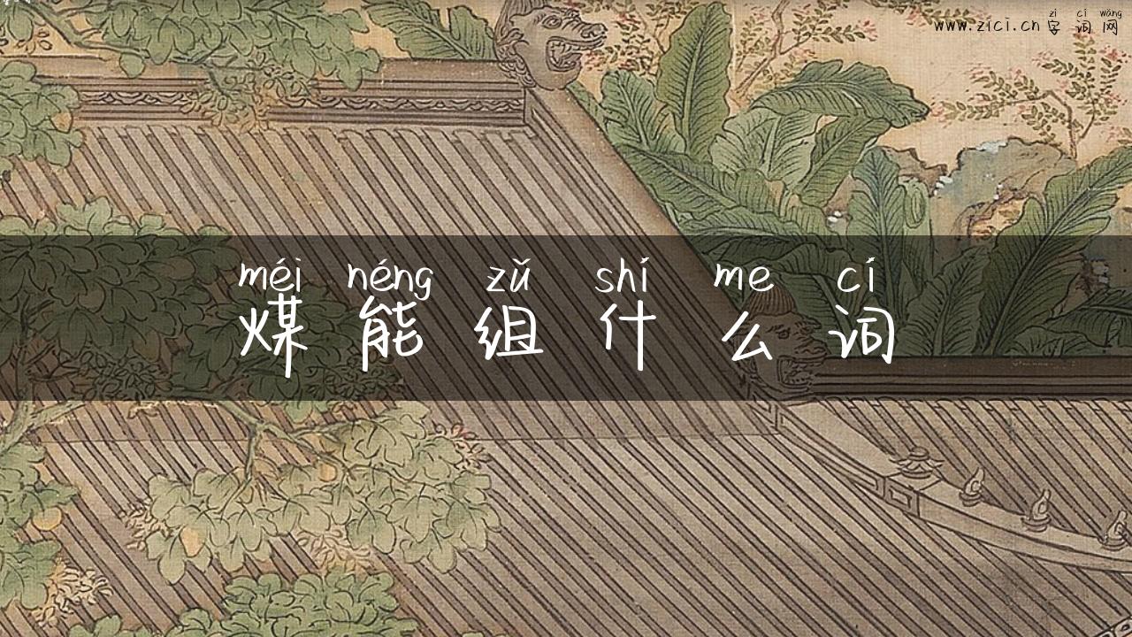 煤能组什么词