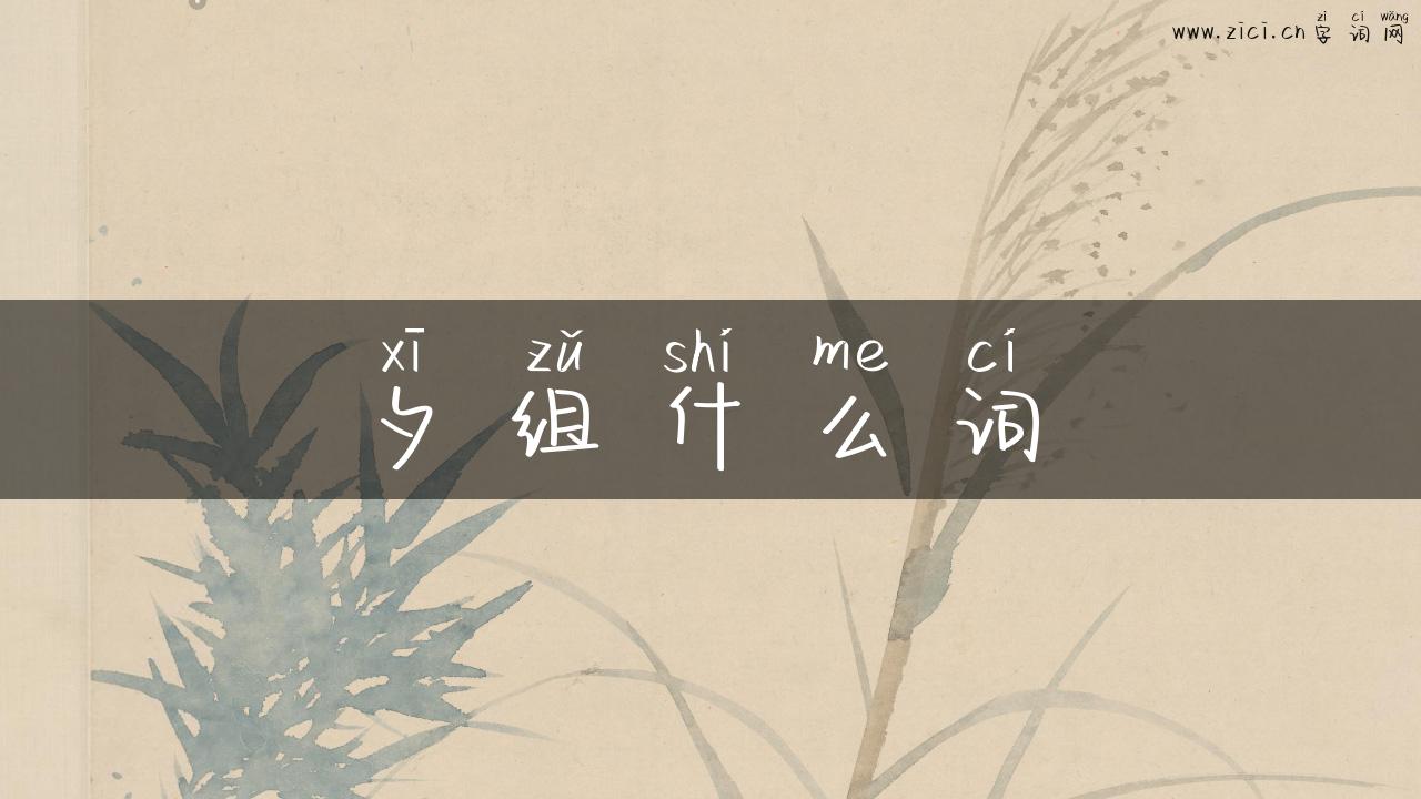 夕组什么词