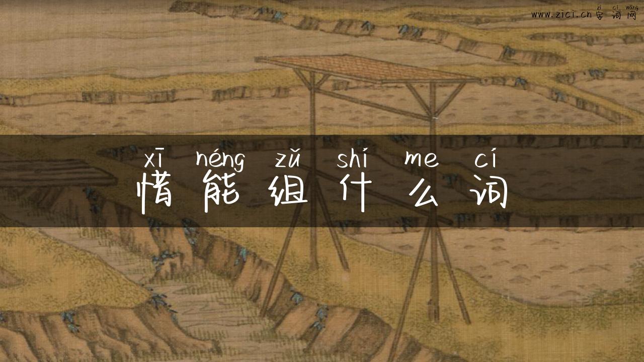 惜能组什么词