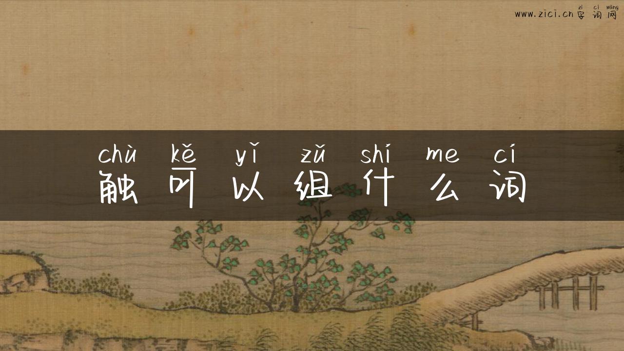 触可以组什么词
