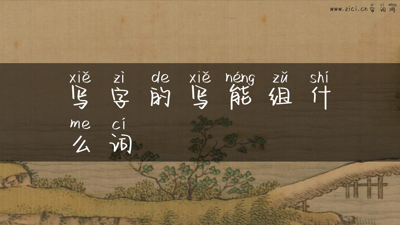 写字的写能组什么词