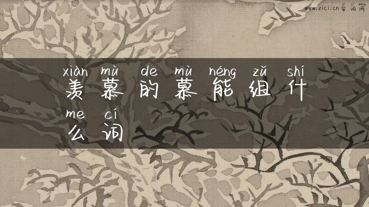羡慕的慕能组什么词