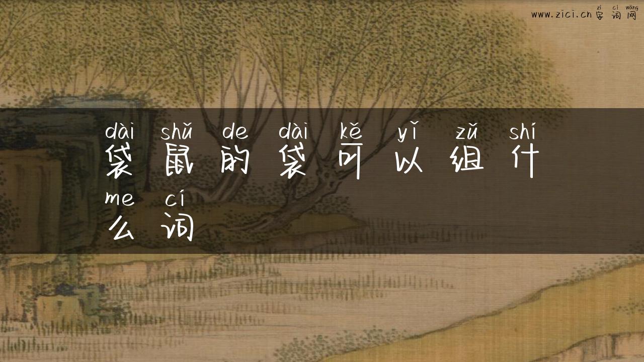 袋鼠的袋可以组什么词