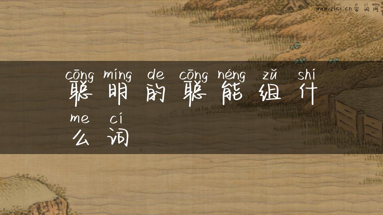 聪明的聪能组什么词