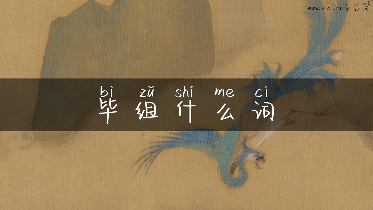 毕组什么词